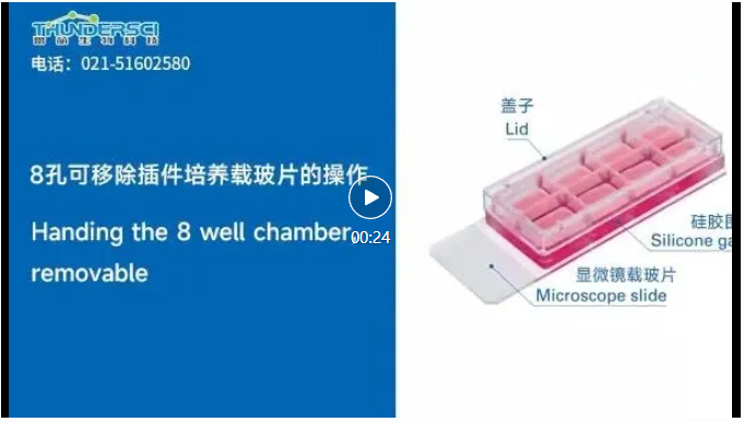 微信圖片_20250626163608.png